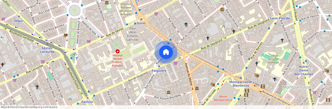 Rue de Sèvres et Rue du Cherche Midi 75015 Paris (15e arrondissement)