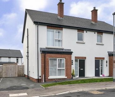 49 Balmoral Road, Bangor, BT19 7XA - Photo 5