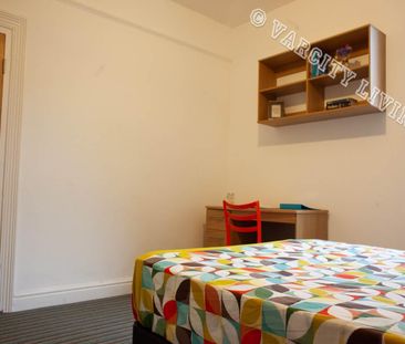 Llwyn Onn Deiniol Road - Photo 6