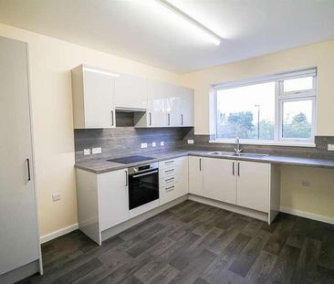 Plains Road, Nottingham, NG3 - Photo 4