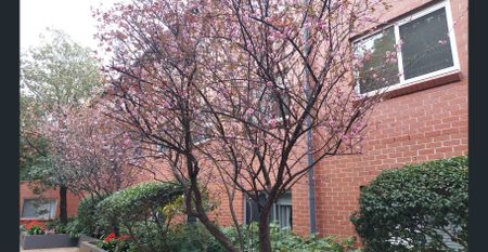 SPACIOUS TWO BEDROOMS APARTMENT - Photo 3