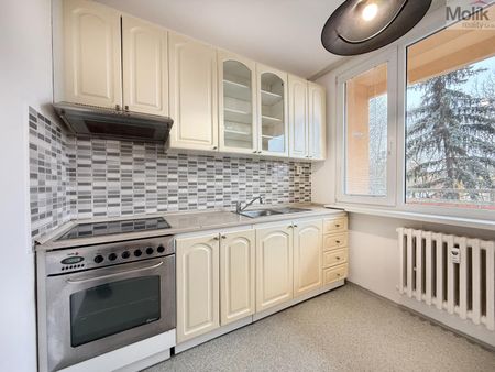 Pronájem bytu 2+1 49 m², Aléská , Bílina - Photo 4