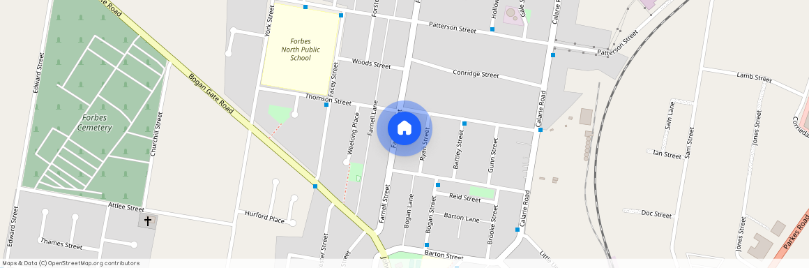 113 Farnell Street, NSW 2871, Forbes