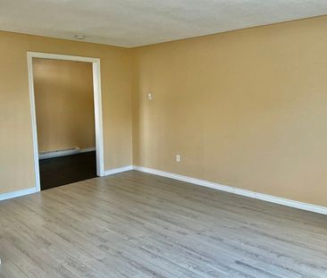 For Lease - 156 Moira Street Unit# Unit 3, Belleville, Ontario - Photo 3