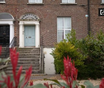 Cozy studio apartment for rent in Rathgar, Dublin - Photo 1