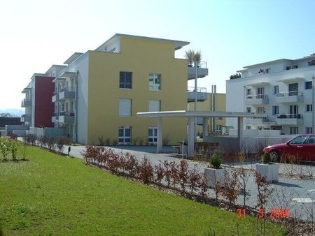 Happiness at first sight in the home - Photo 3