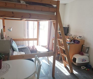 Location Appartement 1 pièce 21m² JOUE LES TOURS 37300 - Photo 3