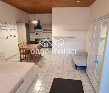 1 Zi Appartement, möbliert mit Küche & Terrasse in 75242 Steinegg z... - Foto 1