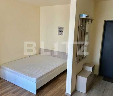 Apartament 1 camera, PET FRIENDLY, strada Cetatii! - Fotografie 5