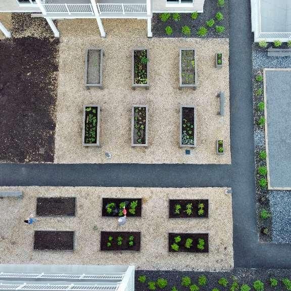 3 ½ à louer animaux autorisés! - Photo 1