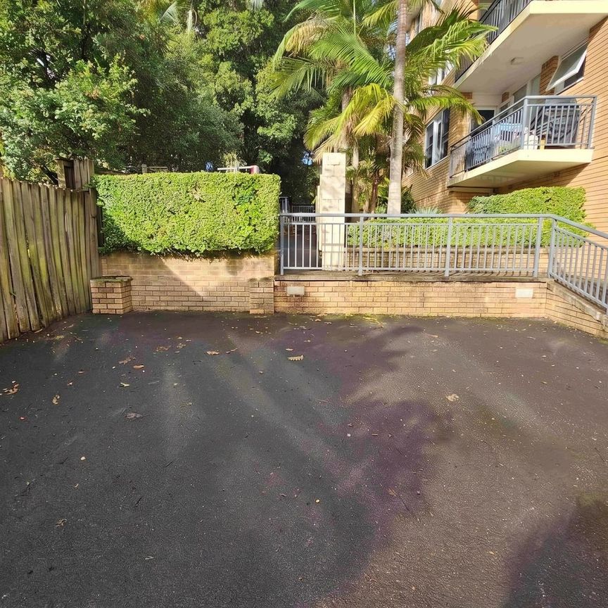 LIGHT FILLED HAVEN IN PRIME MOSMAN LOCATION - Photo 1