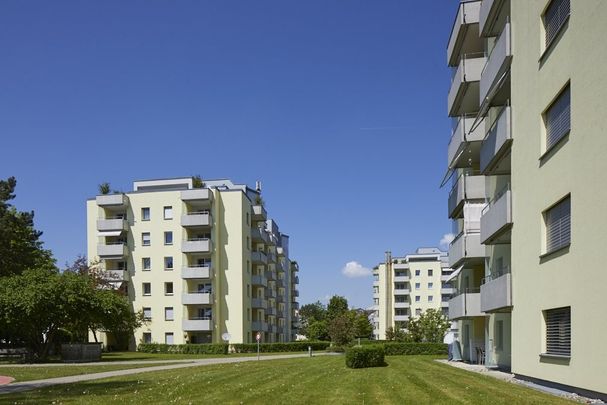 Helle Familienwohnung mit zwei Balkonen und guter Anbindung - Foto 1