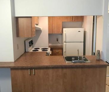 1 CH - 1 SDB - Montréal - $1,375 /mo - Photo 1