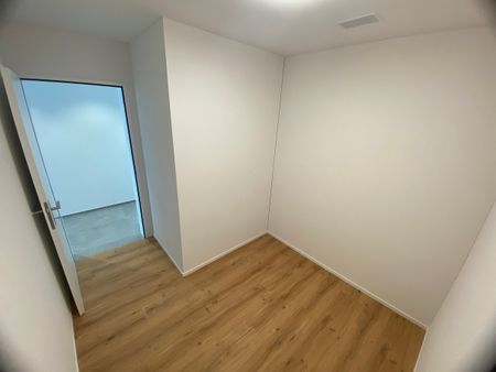 Blumenpark Aadorf - Ihr zukünftiger neuer Arbeitsort! - Photo 3
