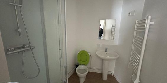 Location Appartement 1 pièce 22m² LILLE 59000 - Photo 3