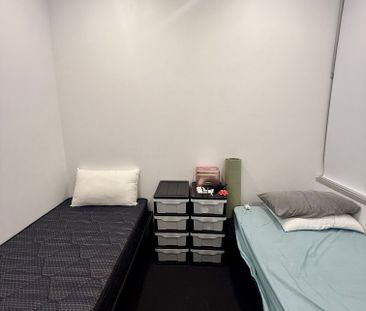 Chippendale - Photo 4