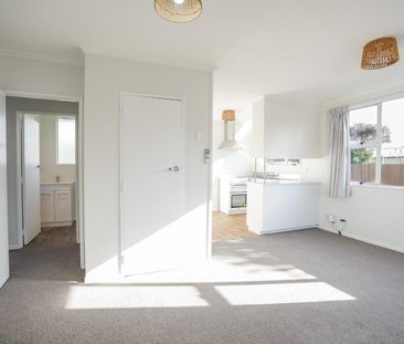 Low maintenance living on Burns - Photo 6