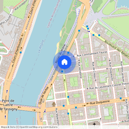 1 AVENUE MARECHAL FOCH, LYON 6EME ARRONDISSEMENT l'Helvetie