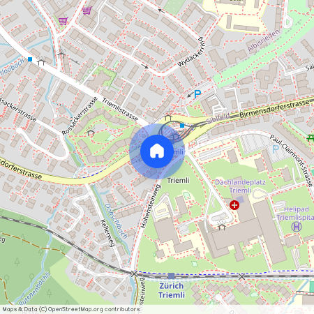 8055, Zürich, Birmensdorferstrasse, 511