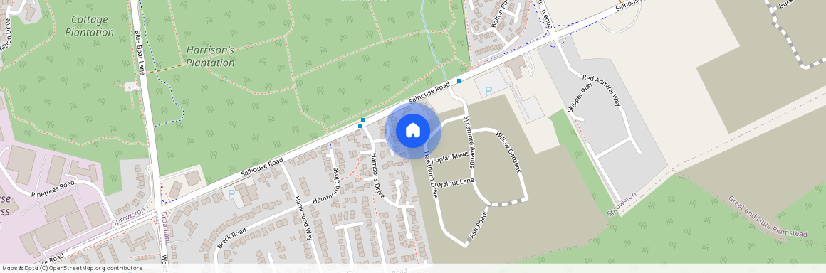 Hawthorn Drive, Rackheath