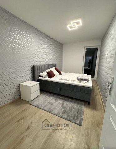 Hajdú-Bihar megye, Debrecen - Fotó 5
