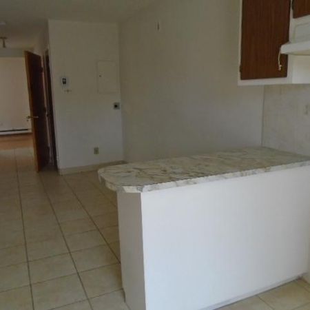 4 ½ rue Chambord et Sauvé Montréal LIBRE - Photo 3