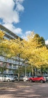 Zijldonk, 2317 DP Leiden, Nederland - Foto 1