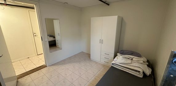 Polarvägen, Vega - Photo 2