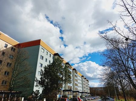 wunderbare Dachgeschosswohnung ab Februar verfügbar - Photo 4