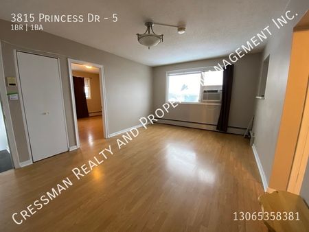 1 bed, 1 bath apartment unit - Photo 4