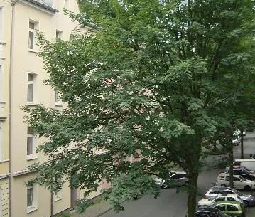 Renovierte 2-Zimmer-Wohnung in der Lange Str. 79 zu vermieten! - Photo 6