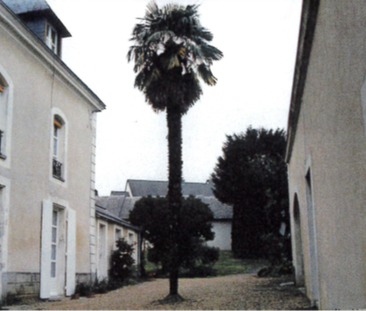 Location Appartement 2 pièces 43m² SABLE SUR SARTHE 72300 - Photo 2