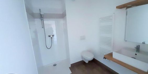 Location Appartement 1 pièce 22m² MONTEUX 84170 - Photo 3