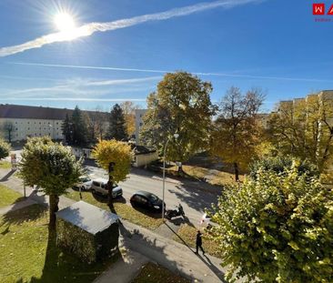 Grünes Wohnen in sonniger Lage lädt zum Erholen und Entspannen ein!... - Photo 6