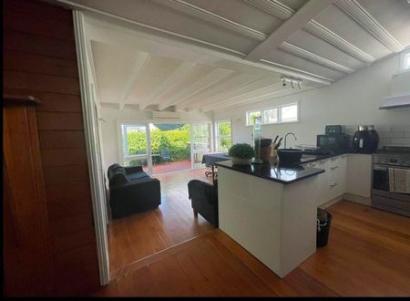 Charming 4brm Grey Lynn Gem w/ Extras! - Photo 5