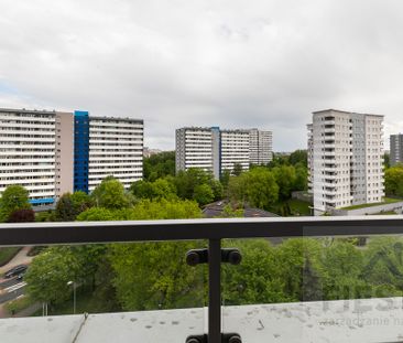 Katowice Tysiąclecia, al. Bolesława Krzywoustego - Zdjęcie 4