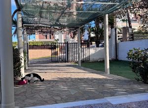 Μονοκατοικία για ενοικίαση - Αρτέμιδα (Λούτσα), - Photo 5