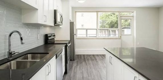 Pet-Friendly Suites by Long Branch GO! (Forty Second St) - Photo 2