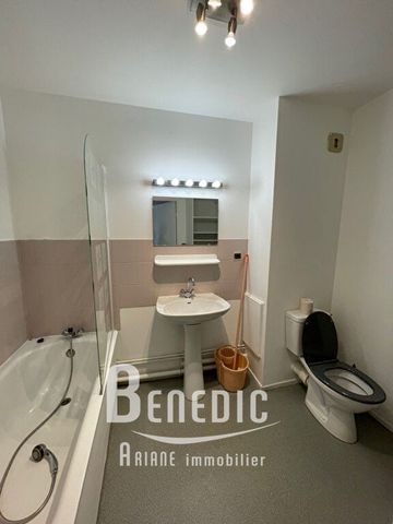 Location Appartement 1 pièce 19m² - Photo 3