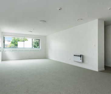 Live on Morning Star Place - Photo 2