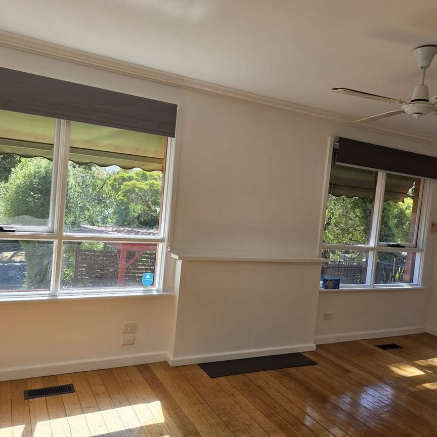 Renovated Specious 3 Bed 1 bath - Photo 1