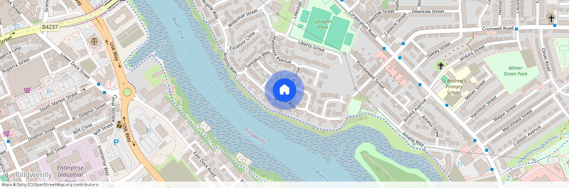 Argosy Way, Newport, NP19