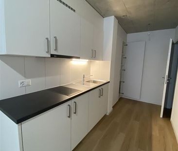 Apartment,1,25 - Photo 4