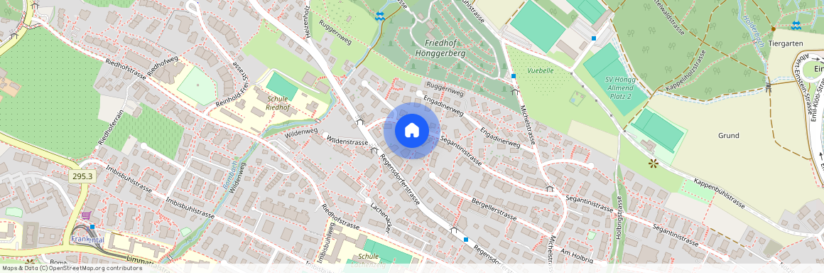 8049, Zürich, Segantinistrasse, 175