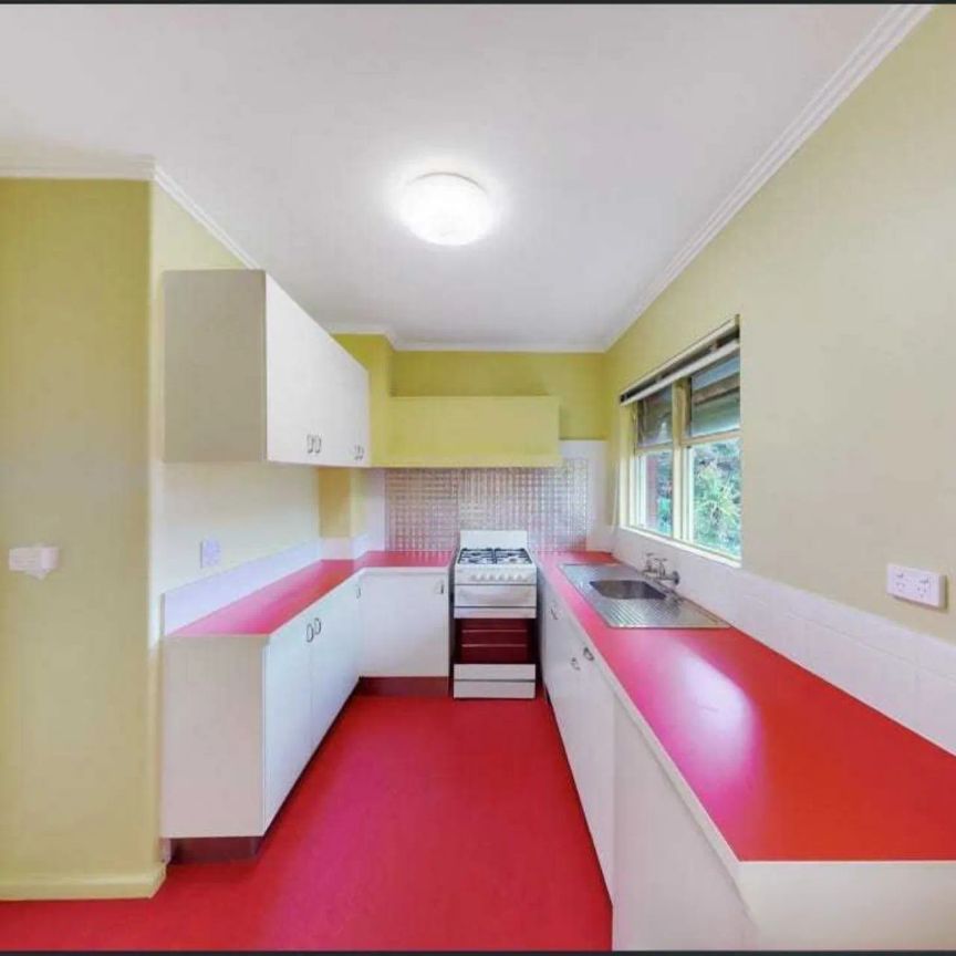 Spacious One-Bedroom with Defined Living Zones - Photo 1