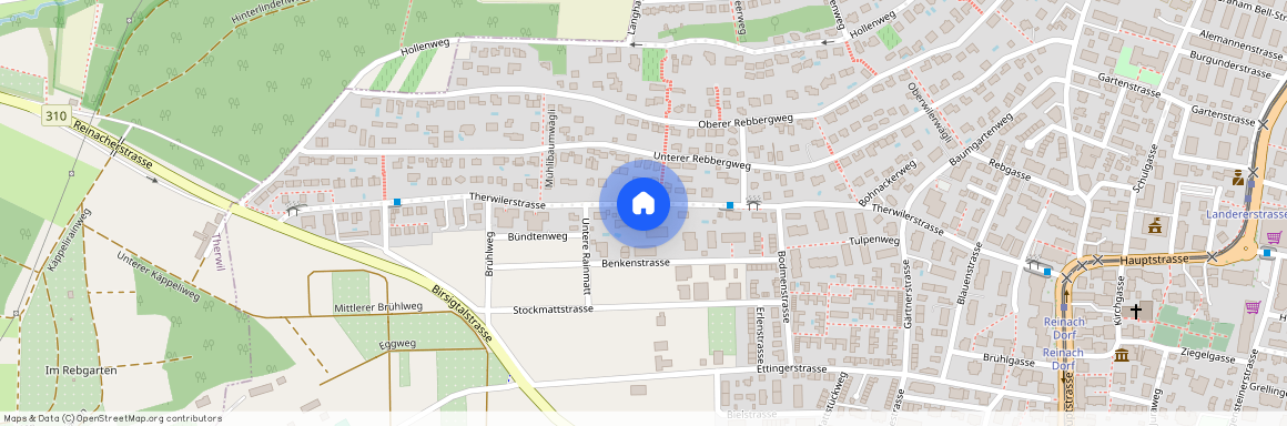 Therwilerstrasse 33, 4153 Reinach BL, BL, Therwilerstrasse 33, 4153 Reinach BL, BL