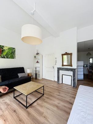 Location Appartement 1 pièce Meublé 41m² AGEN 47000 - Photo 1