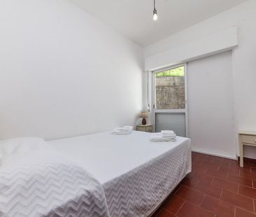 Estrada da Ponta da Piedade - Photo 5