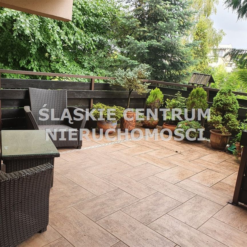 Gołonóg, Storczyków, Dąbrowa Górnicza - Photo 1