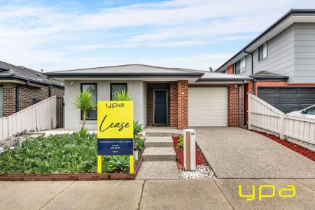 Spacious Family Living in the Heart of Epping - Photo 4